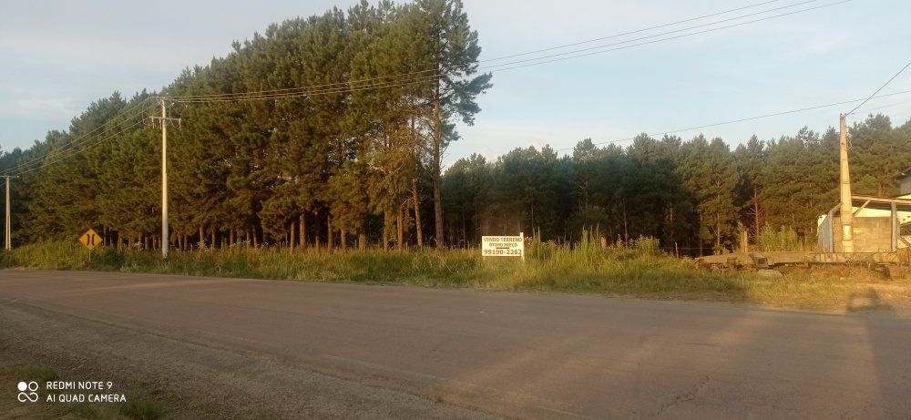 rea - Venda - rea Industrial - Otaclio Costa - SC